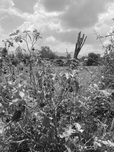 Thailand - Pai - Adventure trip to the most beautiful parts of Northern Thailand - I will show you the underrated north side of this nature paradise 🗺🚣🏽🦋🌞🐛🚞🌻🪨🌳🌺🌄 - 1