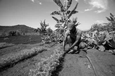 Tanzania - Lake Manyara National Park - Tanzania Wilderness – Unique Experience – ALL INCLUSIVE - 5