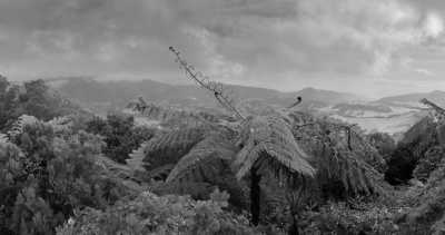 Portugal - São Miguel - Azores - WaterWellness, OceanLife & Volcanic treasures - 2