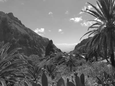 Spain - Tenerife - Discover Tenerife's Hidden Gems on a Guided Trip Off the Beaten Track - 3