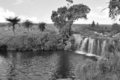 South Africa - Sabie - Südafrika: Wilde Tiere, der Krüger Nationalpark, Blyde River Canyon und Johannesburg - 2