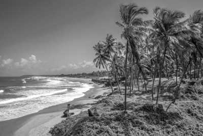 India - Miramar Beach - Unveiling Mystical Goa: Beaches, Parties, and Cultural Delights - Experience Goa like a Local - 1