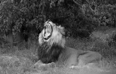 Southern Africa - Savuti - Botswana Explorer - Entdecke Botswana's Natur und Tierwelt im 4x4 - 2