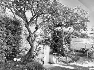 Portugal - Funchal - Modern, Spacious & Beautiful Coliving Villa in prime location - Funchal, Madeira | Adventure, Nature and Fun on the Dream Island of Madeira 🌴 (Large Private Double Room with Queen Size Beds) - 8