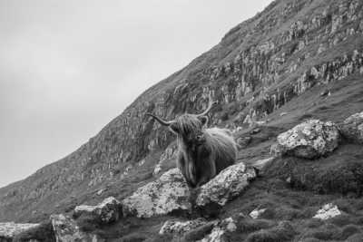 Faroe Islands - Tórshavn - Faroe Islands: Embark on an Adventure through Nature's Paradise! - 1