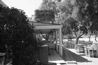 Greece - Nikolas Tavern Mykonos - Seafood Restaurant - Mykonos 5 days incl. Hotel, Party, Transfer - The party island of Greece! - 2