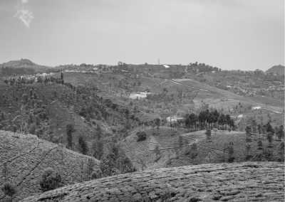 India - Vagamon - Exploring the Enchanting Hills of Kerala, India: Unveiling Natural Beauty and Cultural Delights - 2