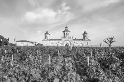 France - Wine tasting in the South of France - JoinMyTrip