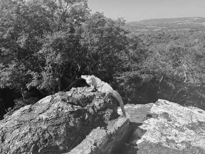 Belize - Xunantunich Mayan Ruins - Experience Belize Like a Local: Authentic Travel Adventures Await - 3