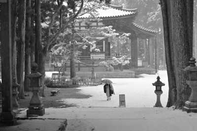 Japan - Koyasan - Spirit of Japan (Reverse Route) - 4