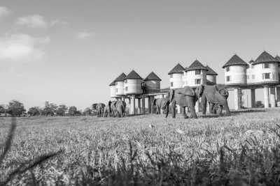 Kenia - VOI SGR STATION - Enjoy a Short Safari on the footprints of Finch Hattons in Tsavo West National Park Kenya - 4