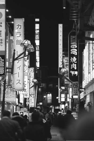 Japan - Tokyo - 🇯🇵Japan Trip To The Future :Food, Culture, Snow & Wildlife - 3