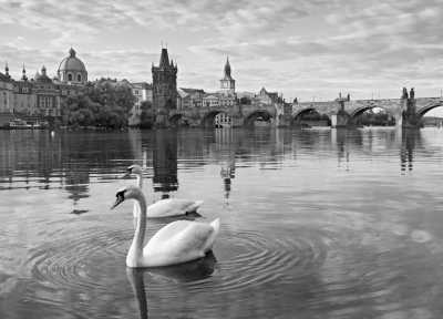 Europe - Turn PRAGUE, VIENNA and BUDAPEST into your office! 💻🕌 COWORK trip of a lifetime! - JoinMyTrip