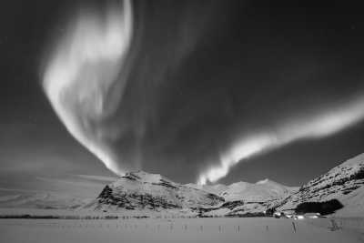 Norway - Skjervoy - Northern Lights and Arctic Wonders: Winter Expedition in Norway - 1