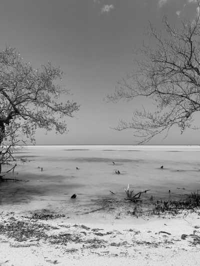 Mexico - Holbox Island - Adventure in Yucatán, Mexico: Ruins, Beaches, Cenotes and more! - 1