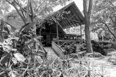 Tanzania - Kilimanjaro International Airport - Tanzania Wilderness – Unique Experience – ALL INCLUSIVE - 1