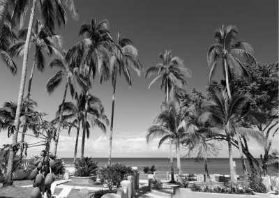 Mexiko - Sayulita - Discover Mexico with a local... Chapter: Tepoztlan,Sayulita, Tequila-train and more Mexican Marvels Expedition!