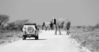 Subsahara-Afrika - Otjiwarongo - Simbabwe - Sambia - Namibia