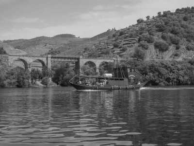 Portugal - Pinhão - Discovering Douro Valley Gems - The wines, Salling, Gastronomy and Nature - 1