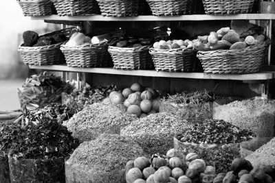 United Arab Emirates - Global village - Dubai Co-Working Delight (Shared Rooms): Explore the culture, food, beaches, nightlife, desert, and everything else Dubai has to offer!