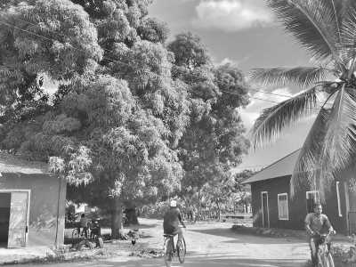 Tanzania - Makunduchi - Zanzibar Coworking Experience: Your Journey Starts Here - 3