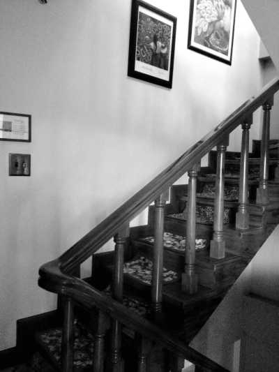 Philippines - Legazpi City - Exploring the Volcano Beauty of Legazpi, Albay, Philippines - 7