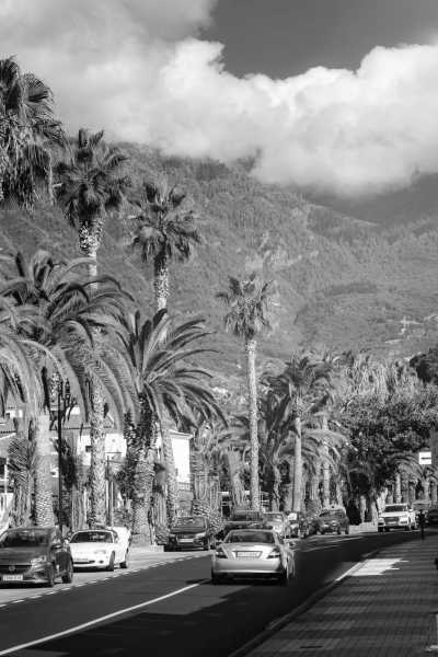 Spain - Santa Cruz de Tenerife - Escape Winter in Tenerife ☀️ - Embrace Nature's Beauty and Explore Pictureque Cities! - 3