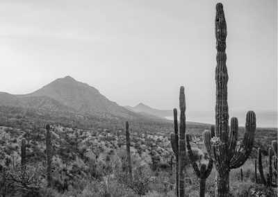 Morocco - Tizi Plus Desert - Your perfect Marrakech Desert trip: 2 Days in Morocco