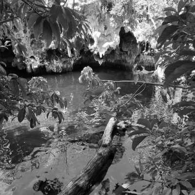 Tansania - MAALUM - Zanzibar Workcation: Cowork, Chill, and Explore Paradise(private room) - 3