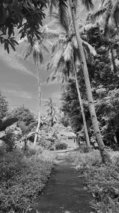 Indonesia - Pulau Gunung Api - Secluded Spice Island Adventure in Banda Naira, Indonesia: Hike an Active Volcano, Swim in the Sea, and Immerse in Cultural Exploration - 2