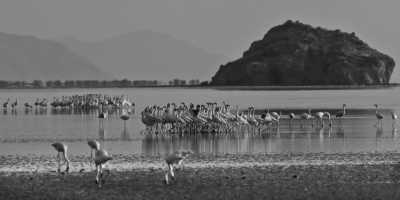 Tanzania - Arusha-Nationalpark - Tanzania Safari Trip - Rhinos, Lions & Elephants are waiting! - 6