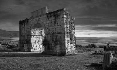 Marokko - Conservation du site Archéologique de volubilis - Discover the Hidden Gems of Fez: A Journey Through Morocco's Cultural Capital - 10