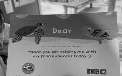 Turkey - Fethiye - Highlights of Lycia, Turkey Explore Like a Local - 4