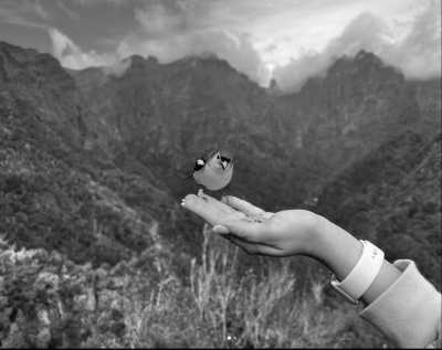 Portugal - Levadas Madeira | Walking in levadas Madeira Guide - Booking levadas - Madeira Paradise Co-working! ☀️ Yoga, sea Views, Nature and Exploration - 1