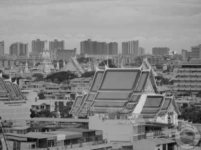 Thailand - Bangkok - 🇹🇭 Entdecke Thailand's Unterwasserwelt - lerne Tauchen auf Koh Tao - inklusive Tauchschule / 6 Tauchgänge 🤿🌅🌴🍺 - 4