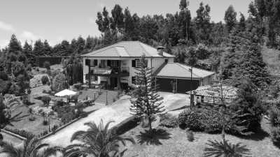 Portugal - Madeira Islands - Single Room: 2 Wochen CoLiving & CoWorking im Paradies Madeira: Workspace + Highspeed Internet - 2