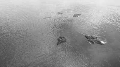 Indonesia - Kri - Raja Ampat & Komodo - Schnorcheln oder Tauchen in Indonesien - 4