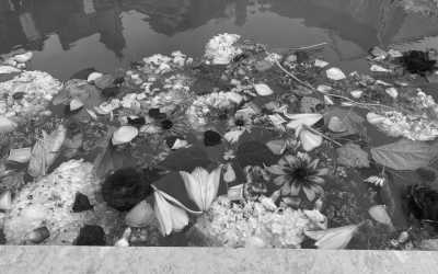 Brazil - Tarauacá - Spiritual Retreat in the Heart of the Amazon Rainforest 🌳