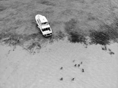 Mexico - Playa del Carmen - Mexico ADVENTURE - Cancun to Tulum - Chichen Itza day trip, ziplining, Cenotes, dolphin boat tour, Mexican culture & more