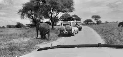 Tanzania - Lake Manyara National Park - Culture &Wildlife experience in Tanzania. - 8