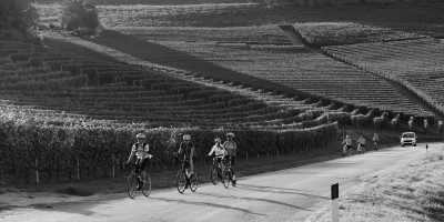 Italy - Langhe - Remote Working + Networking + Wellness Retreat: Italian Food and Wine with a Local. Jacuzzi, Pool, Spa, Stunning View Secret Spot! - 3