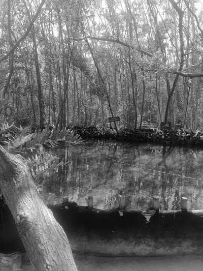 Mexico - Reserva Ecológica El Corchito - Work while Getting to Know the Beautiful Mérida in Mexico - 2