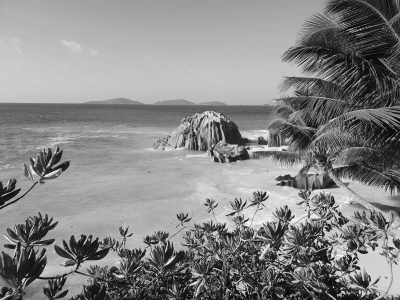 Seychellen - Curieuse - Seychellen Das Paradies mit dem Katamaran entdecken
