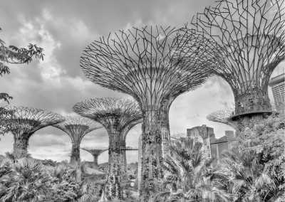 Singapore - Singapore - Eat your way through Singapore while enjoying the sights! - 1