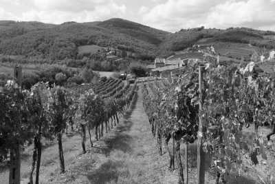 Italy - CHIANTI WINE TOUR - Explore Siena with a Sunset Dinner in Chianti Vineyards - La dolce vita!