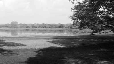 Sri Lanka - Nuwara Eliya - Rainforest & Wildlife Adventure, and a Trip to Remember - Sri Lanka - 10