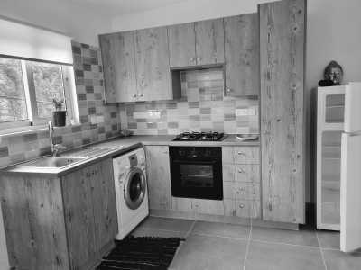 Cyprus - Larnaca International Airport - Explore Cyprus with an insider: Tours, Beach, Wellness and a taste of Movida! - 5