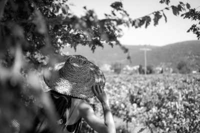 Greece - Cephalonia - Lefkada - Cefalonia - Ithaca  sailing with Catamaran through Greece!