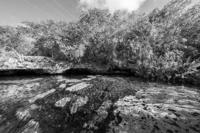 Mexiko - Cenote Santa Cruz Tulum - The First ONLY Female Tulum Experience: Party and Get to Know: Cenotes, Mayan Ruins and the Best Local Food Spots.