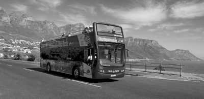 South Africa - Cape Town - Excursion to Alluring Cape Town - Wine, Peninsula & Hop on, Hop off bus tours